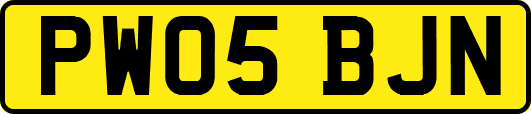PW05BJN