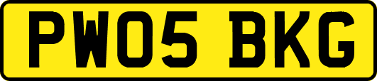 PW05BKG