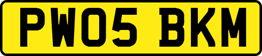 PW05BKM