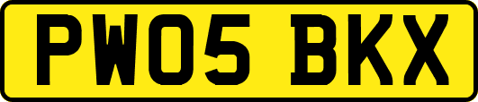 PW05BKX