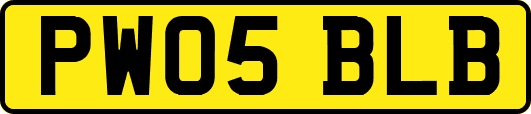 PW05BLB