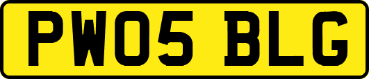PW05BLG