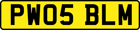 PW05BLM