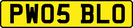 PW05BLO