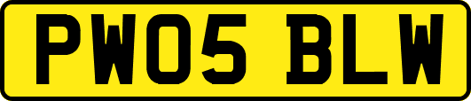 PW05BLW