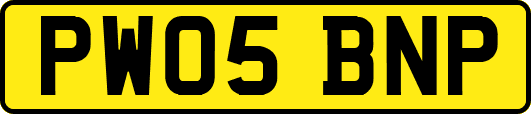 PW05BNP