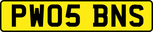 PW05BNS