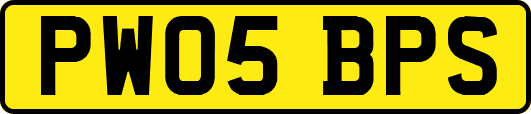 PW05BPS