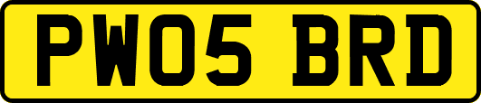 PW05BRD