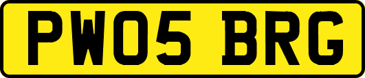 PW05BRG