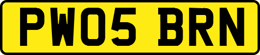 PW05BRN