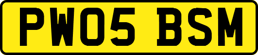 PW05BSM