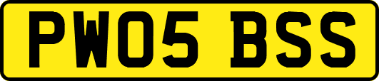 PW05BSS