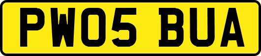 PW05BUA
