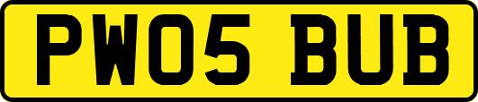 PW05BUB