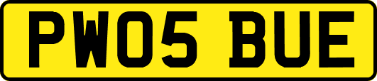 PW05BUE