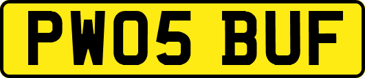 PW05BUF