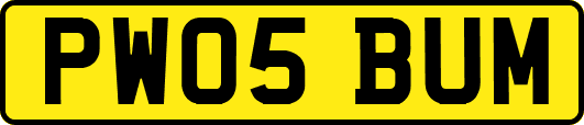 PW05BUM