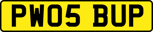 PW05BUP