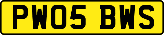 PW05BWS