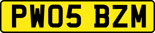 PW05BZM