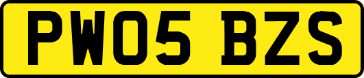 PW05BZS