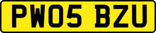 PW05BZU