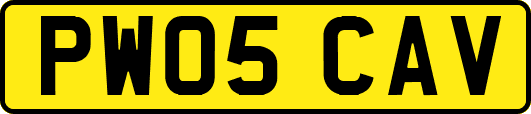 PW05CAV