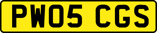 PW05CGS