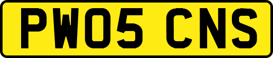 PW05CNS