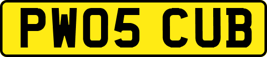 PW05CUB