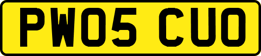 PW05CUO
