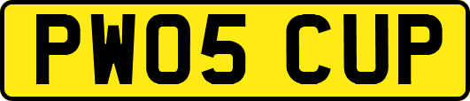 PW05CUP