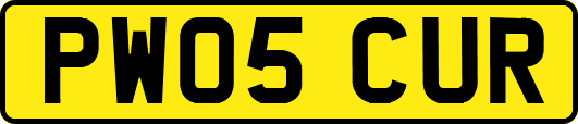 PW05CUR