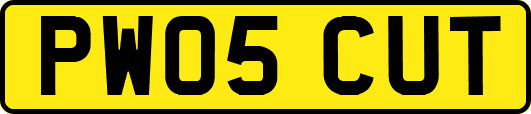 PW05CUT