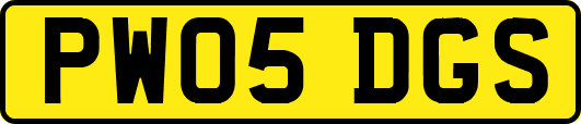 PW05DGS