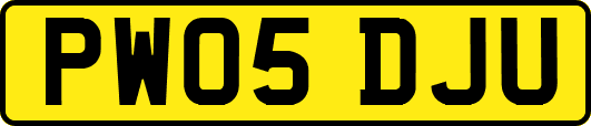 PW05DJU