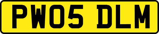 PW05DLM