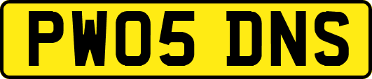 PW05DNS