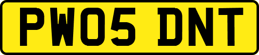 PW05DNT