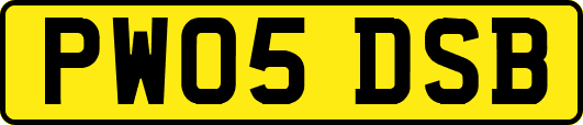 PW05DSB