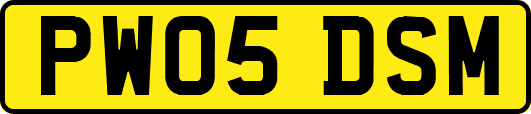 PW05DSM
