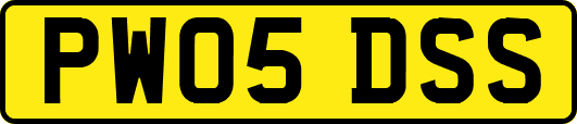 PW05DSS