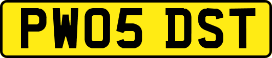 PW05DST