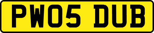 PW05DUB