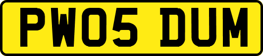 PW05DUM