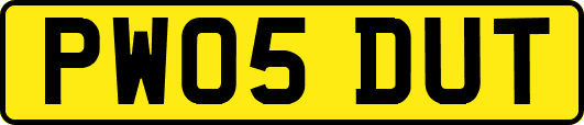 PW05DUT