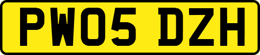 PW05DZH