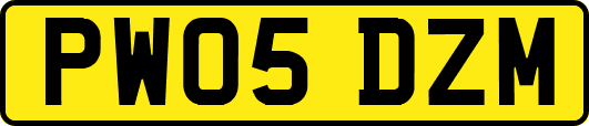 PW05DZM