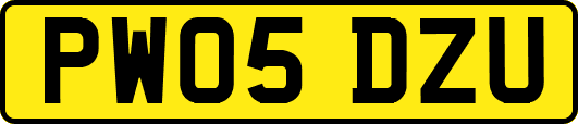 PW05DZU